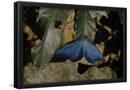 Essential Black