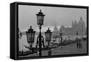 Framed Canvas