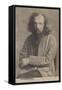 Dmitri Mendeleev, Russian Chemist-null-Framed Stretched Canvas