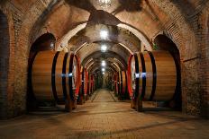 Old Wine Barrels in the Vault of Winery-Dmitriy Yakovlev-Framed Stretched Canvas