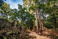 Classical Picture of Ta Prohm Temple, Angkor, Cambodia-dmitry kushch-Photographic Print