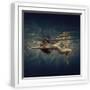 White Frame