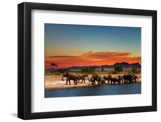 Photographic Print, , large