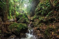 Duden Waterfall Antalya Turkey. Summer Wild Nature. Waterfall Stream. Panoramic View on Duden Water-Dmitry Polonskiy-Stretched Canvas