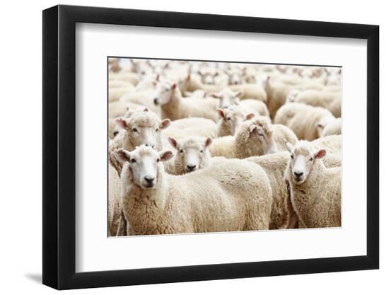 Premium Photographic Print, , large