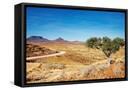 Framed Canvas