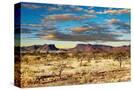 Stretched Canvas