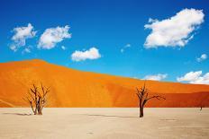 Rocks of Sahara Desert, Tassili N'ajjer, Algeria-DmitryP-Photographic Print