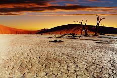 Namib Desert, Sossusvlei, Namibia-DmitryP-Photographic Print
