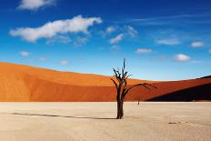 Bizarre Sandstone Cliffs in Sahara Desert, Tassili N'ajjer, Algeria-DmitryP-Photographic Print