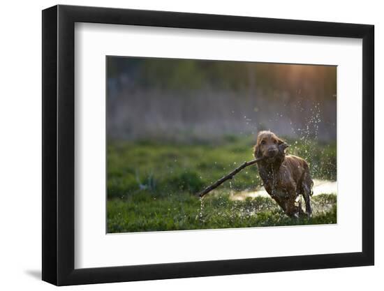 Photographic Print, , large