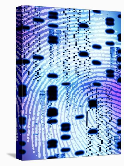 DNA Analysis-PASIEKA-Stretched Canvas