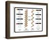 DNA and RNA-udaix-Framed Art Print