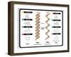 DNA and RNA-udaix-Framed Art Print