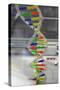Dna. Deoxyribonucleic Acid, Model-null-Stretched Canvas