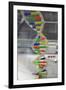 Dna. Deoxyribonucleic Acid, Model-null-Framed Giclee Print