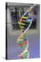 Dna. Deoxyribonucleic Acid, Model-null-Stretched Canvas