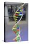 Dna. Deoxyribonucleic Acid, Model-null-Stretched Canvas
