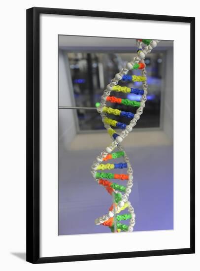 Dna. Deoxyribonucleic Acid, Model-null-Framed Giclee Print