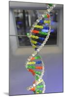 Dna. Deoxyribonucleic Acid, Model-null-Mounted Giclee Print