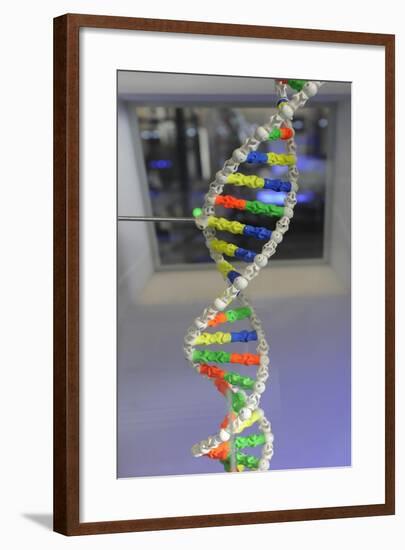 Dna. Deoxyribonucleic Acid, Model-null-Framed Giclee Print