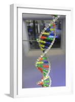 Dna. Deoxyribonucleic Acid, Model-null-Framed Giclee Print