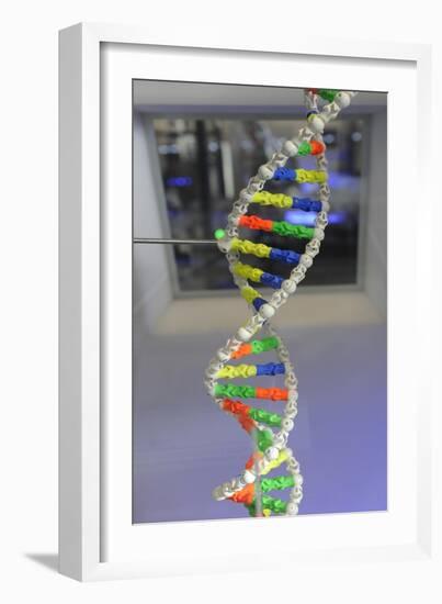 Dna. Deoxyribonucleic Acid, Model-null-Framed Giclee Print