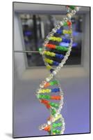 Dna. Deoxyribonucleic Acid, Model-null-Mounted Giclee Print