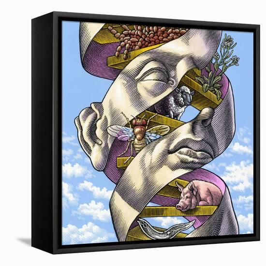 DNA In All Living Things, Artwork-Bill Sanderson-Framed Stretched Canvas