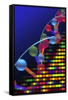 DNA Microarray And Double Helix-PASIEKA-Framed Stretched Canvas