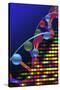 DNA Microarray And Double Helix-PASIEKA-Stretched Canvas