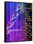 DNA Microarray And Double Helix-PASIEKA-Framed Stretched Canvas