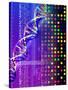 DNA Microarray And Double Helix-PASIEKA-Stretched Canvas