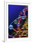 DNA Microarray And Double Helix-PASIEKA-Framed Photographic Print