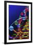 DNA Microarray And Double Helix-PASIEKA-Framed Photographic Print