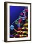 DNA Microarray And Double Helix-PASIEKA-Framed Photographic Print