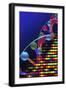 DNA Microarray And Double Helix-PASIEKA-Framed Photographic Print