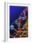 DNA Microarray And Double Helix-PASIEKA-Framed Photographic Print