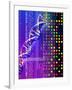 DNA Microarray And Double Helix-PASIEKA-Framed Photographic Print