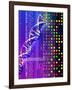 DNA Microarray And Double Helix-PASIEKA-Framed Photographic Print