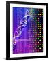 DNA Microarray And Double Helix-PASIEKA-Framed Photographic Print