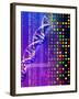 DNA Microarray And Double Helix-PASIEKA-Framed Photographic Print