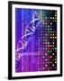 DNA Microarray And Double Helix-PASIEKA-Framed Photographic Print