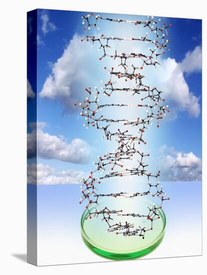 DNA Molecule And Petri Dish-Victor De Schwanberg-Stretched Canvas