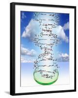 DNA Molecule And Petri Dish-Victor De Schwanberg-Framed Photographic Print