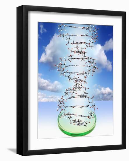 DNA Molecule And Petri Dish-Victor De Schwanberg-Framed Photographic Print