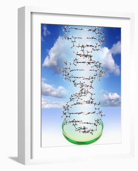 DNA Molecule And Petri Dish-Victor De Schwanberg-Framed Photographic Print