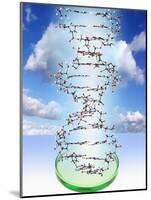 DNA Molecule And Petri Dish-Victor De Schwanberg-Mounted Photographic Print