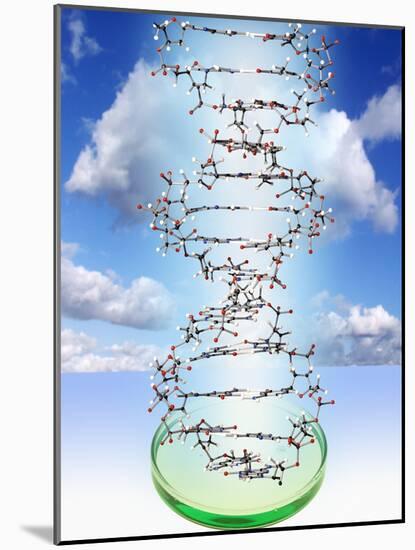 DNA Molecule And Petri Dish-Victor De Schwanberg-Mounted Photographic Print
