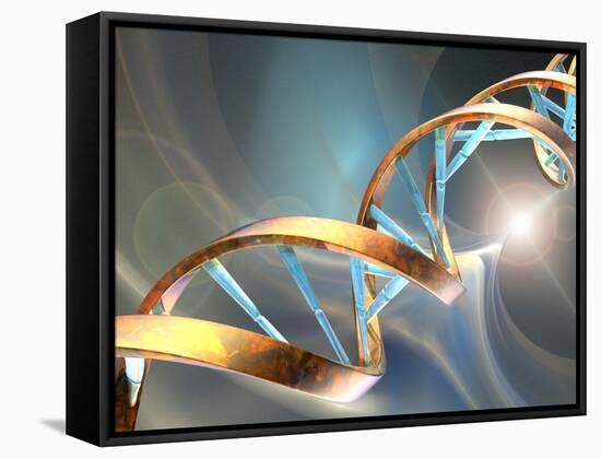 DNA Molecule, Artwork-Laguna Design-Framed Stretched Canvas